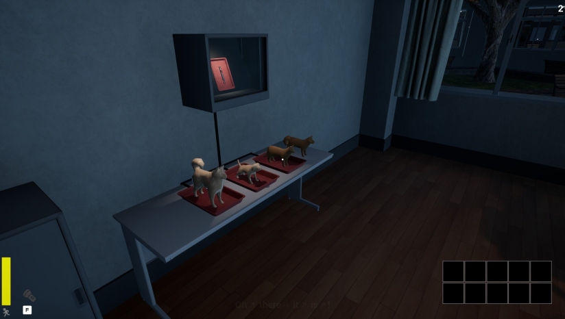 狼伴侣手机版截图7