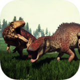 龙岛异兽测试服