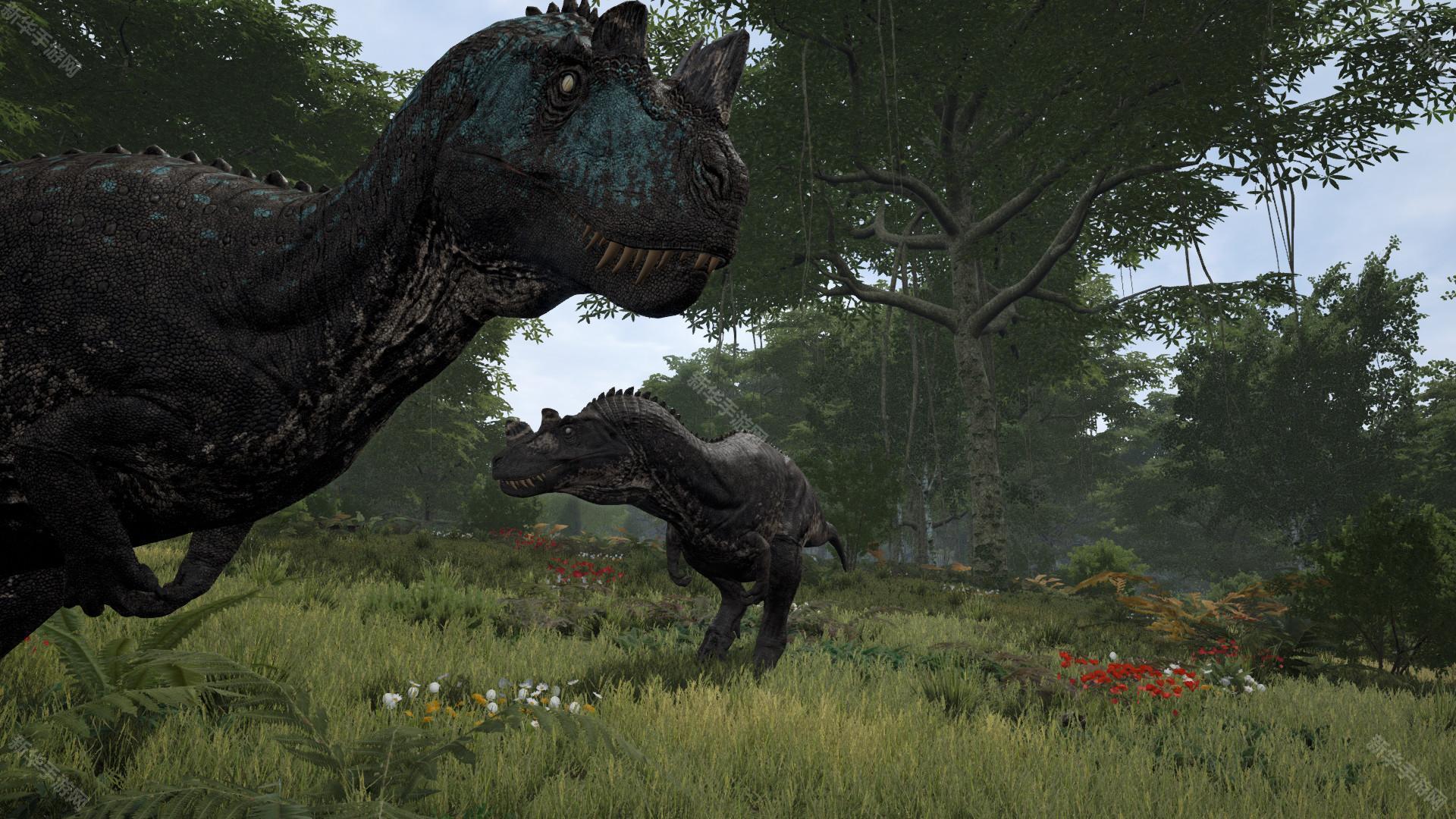 龙岛异兽测试服