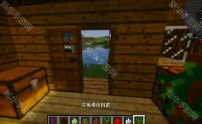 珍妮冒险直装版