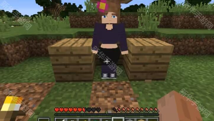 珍妮冒险直装版