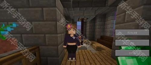 珍妮冒险直装版