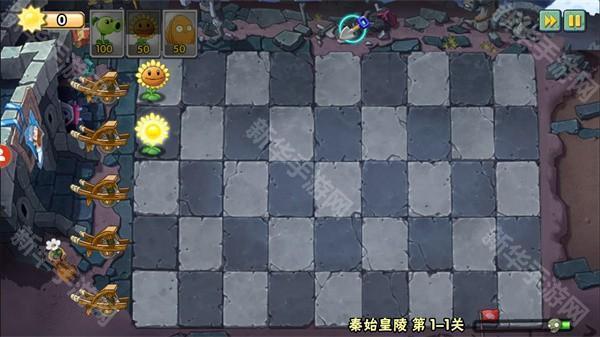 植物大战僵尸wenhua版本