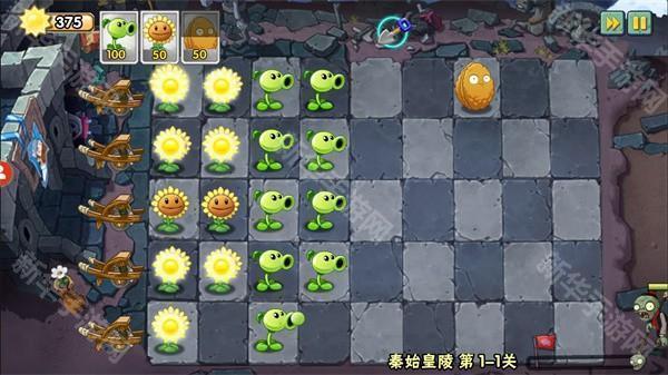 植物大战僵尸wenhua版本