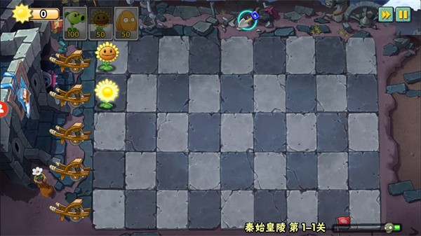 植物大战僵尸wenhua版本