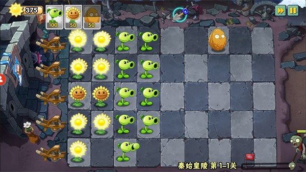 植物大战僵尸wenhua版本