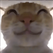 鼠鼠偷吃模拟器3.0.0