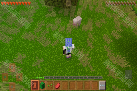 生存战争2完美修仙2.0