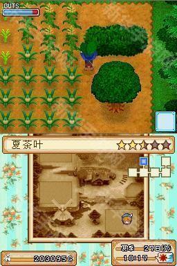 牧场物语风之集市游戏截图6