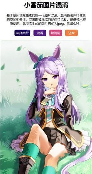 小番茄图片混淆工具