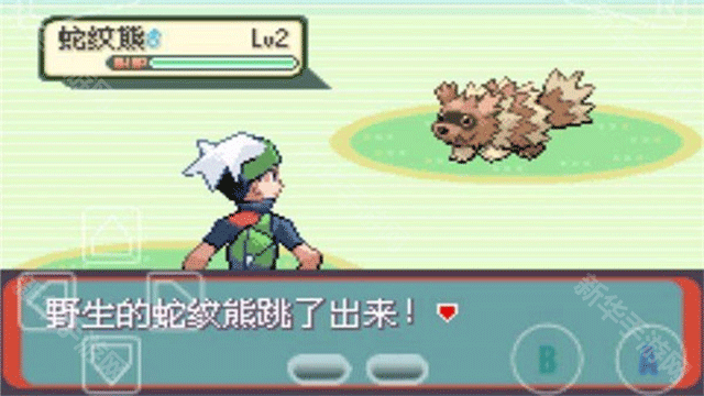 精灵宝可梦究极绿宝石5.5内置魔法棒版