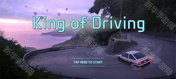 驾驶之王汉化版