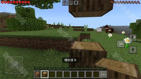 Minecraft国际版