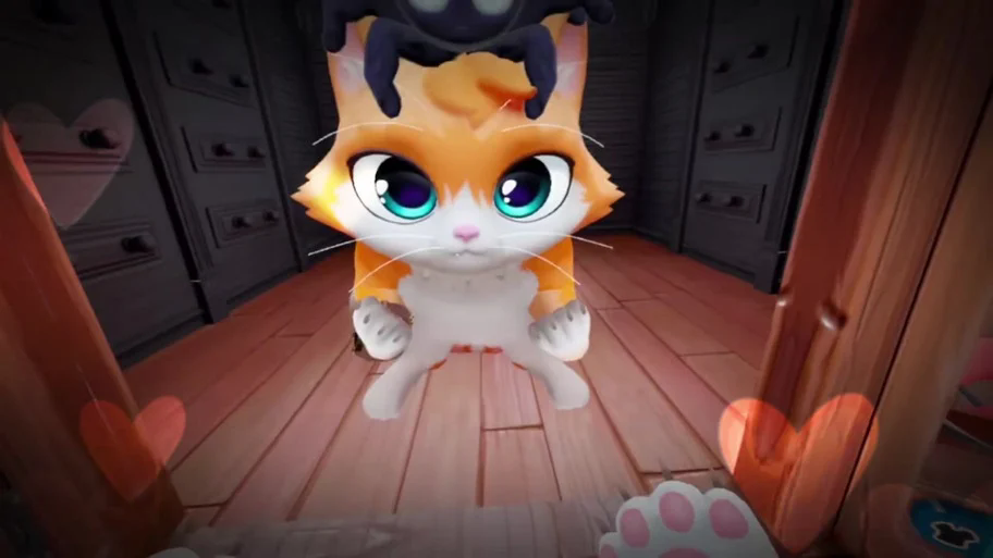 奶奶的贴心小猫