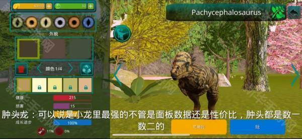 诅咒之岛国际服