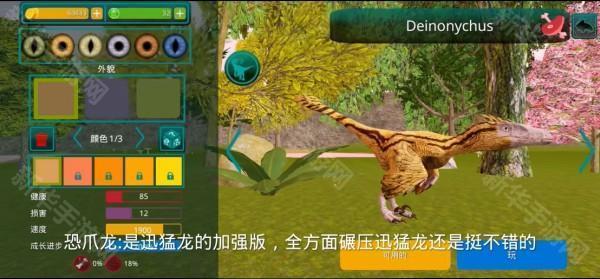 诅咒之岛国际服