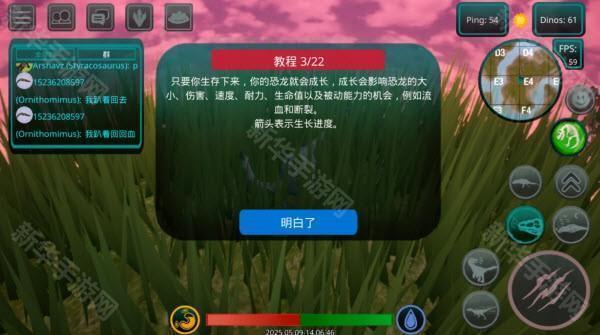 诅咒之岛国际服