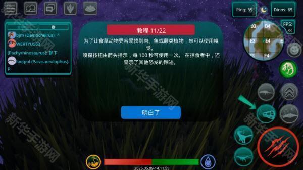 诅咒之岛国际服