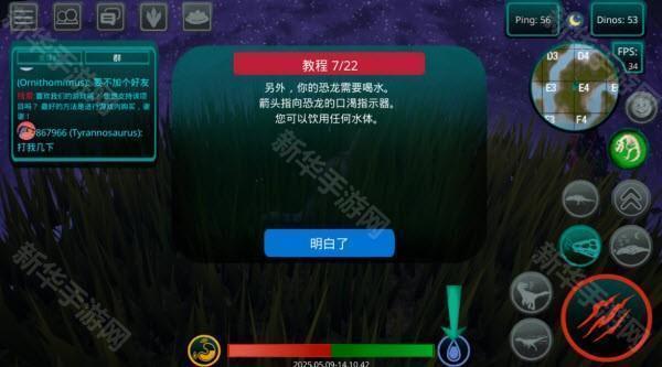 诅咒之岛国际服