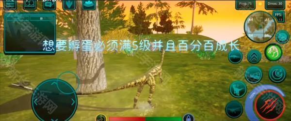 诅咒之岛直装共存版