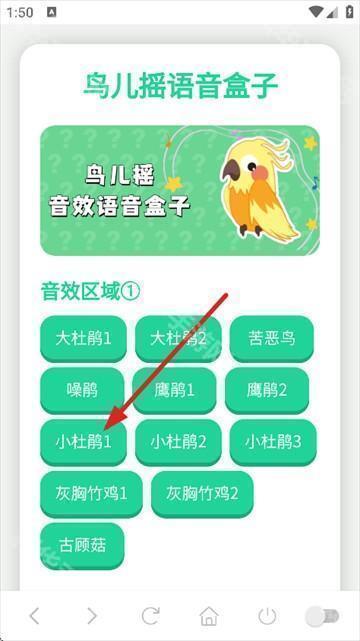 鸟儿摇演奏器下载安装