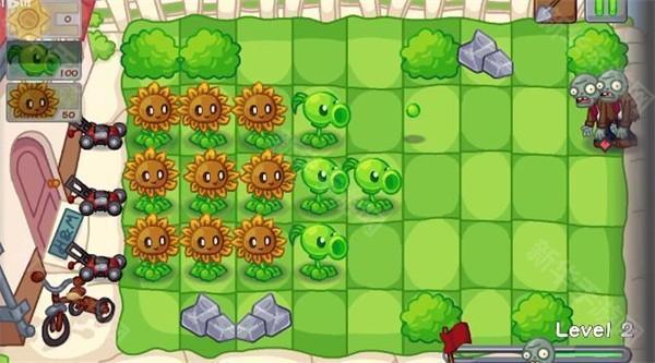 植物大战僵尸Dn版