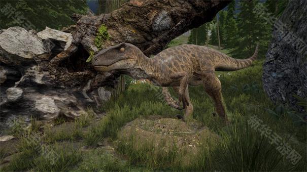 龙岛异兽内测版