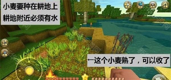 迷你世界游戏玩法