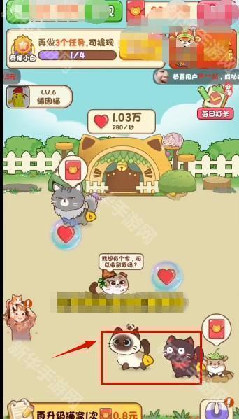 我家猫舍红包版6