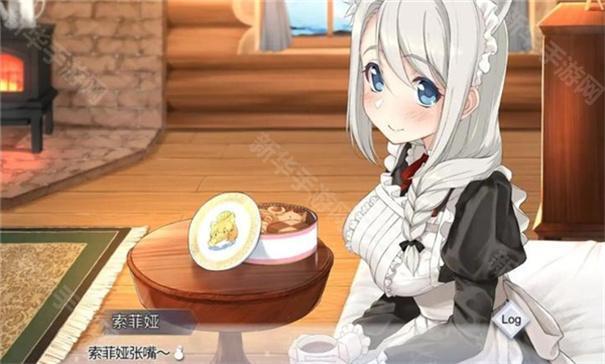 我与索菲亚的秘密手机版