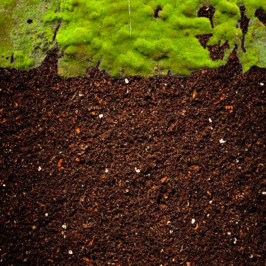 迷你世界写实材质包手机版