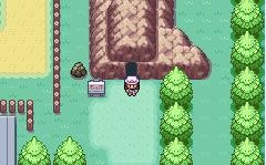 口袋妖怪究极激进红2