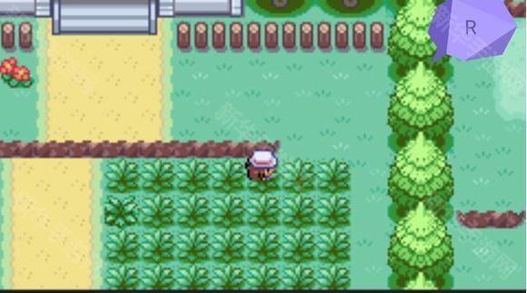 口袋妖怪究极激进红2