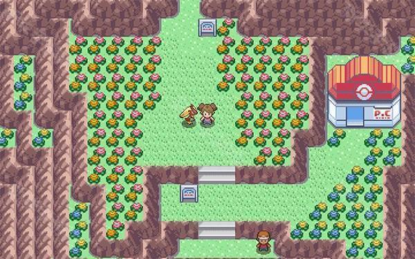 PokeMMO汉化语言包