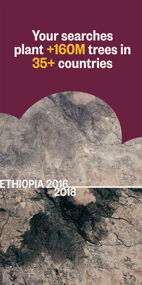 ecosia浏览器截图2