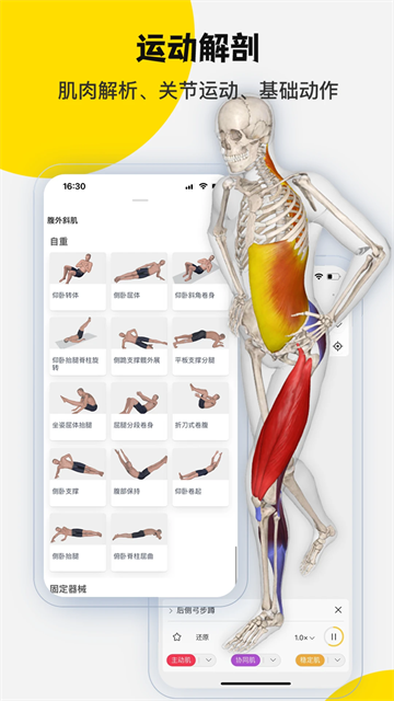 3dbody解剖免费版截图2