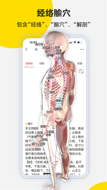 3dbody解剖免费版截图3