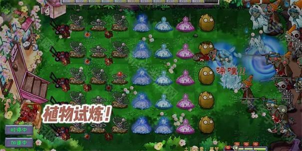 植物大战僵尸共生版1.0.3