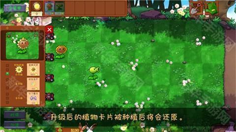 植物大战僵尸共生版正版