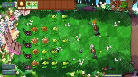 植物大战僵尸共生版正版