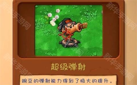 植物大战僵尸共生版正版