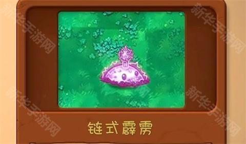 植物大战僵尸共生版正版
