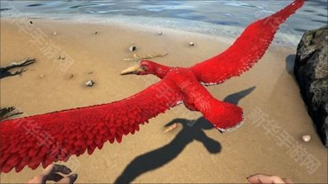 方舟生存进化中文手机版