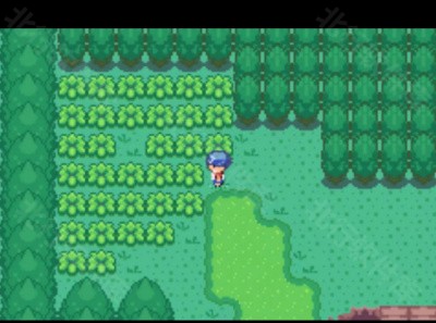 口袋妖怪洛克王国