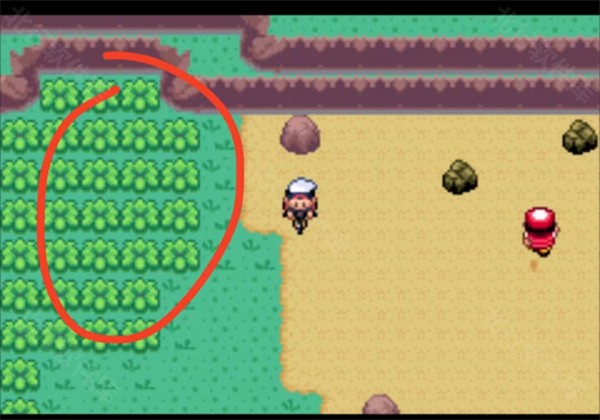 口袋妖怪洛克王国