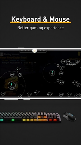 熊猫映射键盘截图2