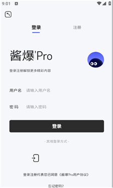 酱爆SonPro