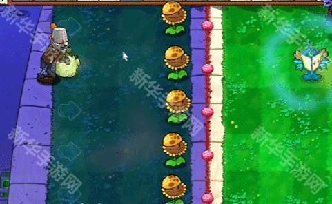 植物大战僵尸杂交版重制版0.8.1