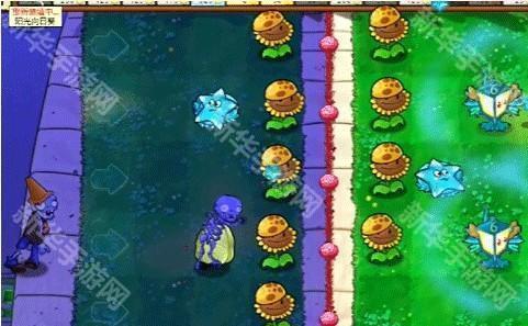 植物大战僵尸杂交版重制版0.8.1