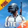 子阳pubg免费轻体直装v8